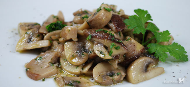 FELDCHAMP.+PETERS.KNOBL.OEL MADIA