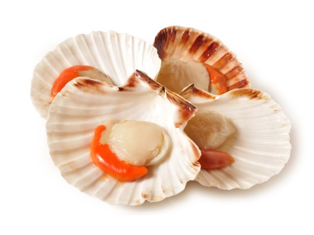 JAKOBSMISCHEL 1/2-SCHALE