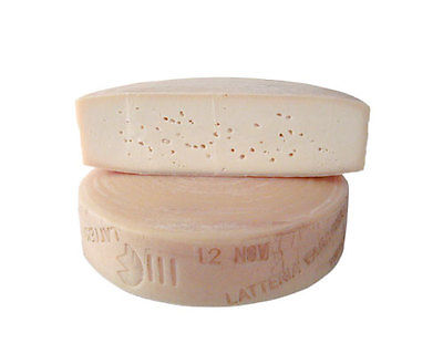 LAIB LATTERIA FAGAGNA